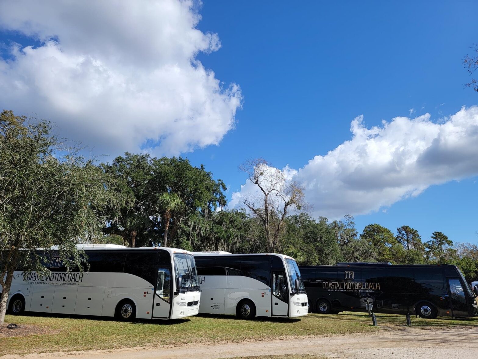 Tybee Island Transportation